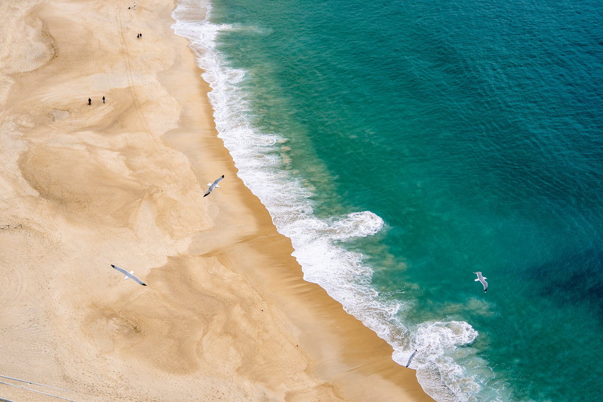 Birds Eye View