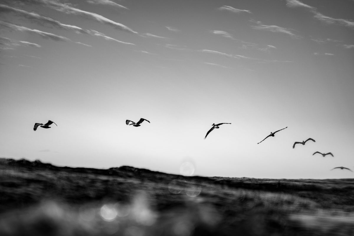 Follow The Leader — Metal