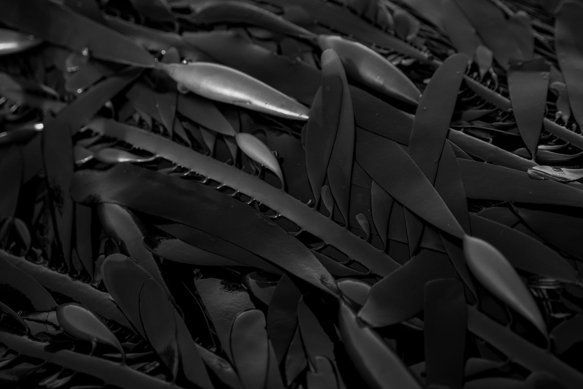 Slippery When Wet — Metal