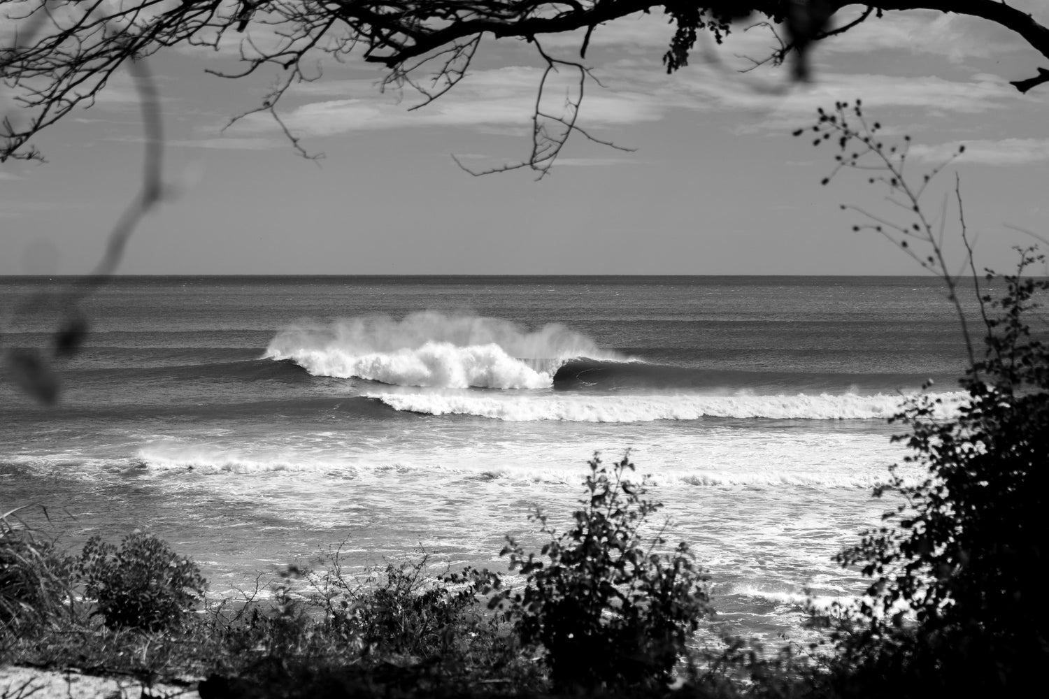The Outer Reef
